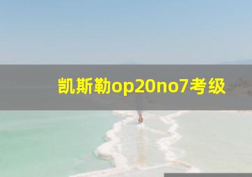 凯斯勒op20no7考级