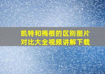 凯特和梅根的区别图片对比大全视频讲解下载