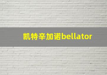 凯特辛加诺bellator