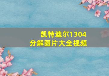 凯特迪尔1304分解图片大全视频