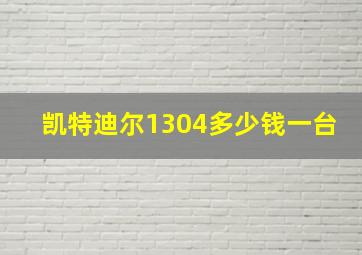 凯特迪尔1304多少钱一台