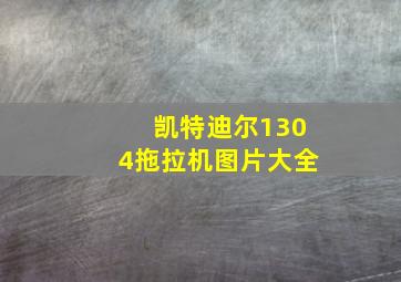 凯特迪尔1304拖拉机图片大全