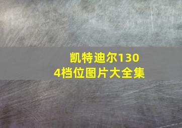 凯特迪尔1304档位图片大全集