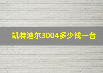 凯特迪尔3004多少钱一台