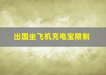 出国坐飞机充电宝限制