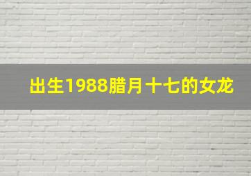 出生1988腊月十七的女龙