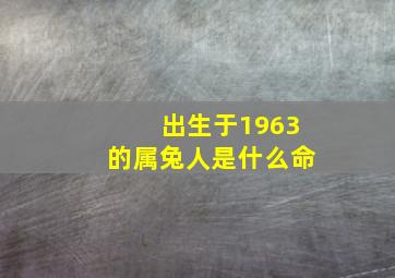 出生于1963的属兔人是什么命