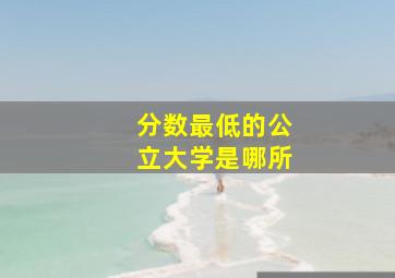 分数最低的公立大学是哪所