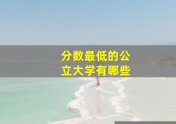 分数最低的公立大学有哪些