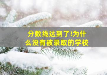 分数线达到了!为什么没有被录取的学校