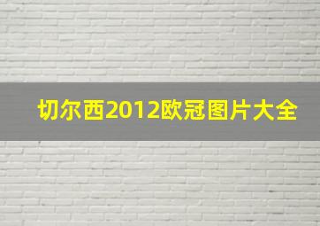 切尔西2012欧冠图片大全