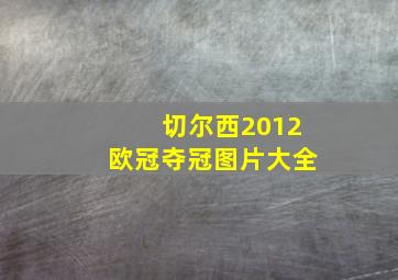 切尔西2012欧冠夺冠图片大全