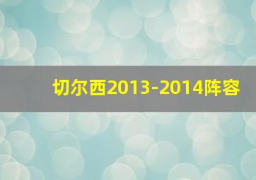 切尔西2013-2014阵容