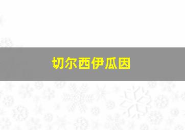 切尔西伊瓜因