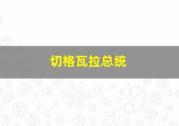 切格瓦拉总统