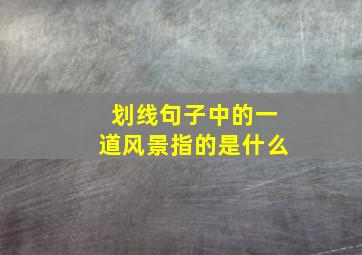 划线句子中的一道风景指的是什么