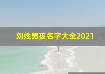 刘姓男孩名字大全2021