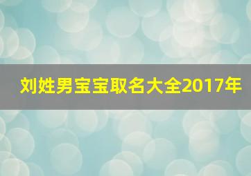 刘姓男宝宝取名大全2017年