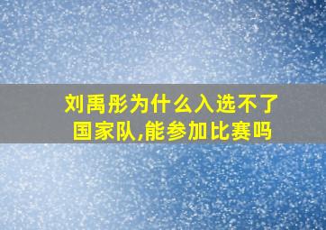 刘禹彤为什么入选不了国家队,能参加比赛吗