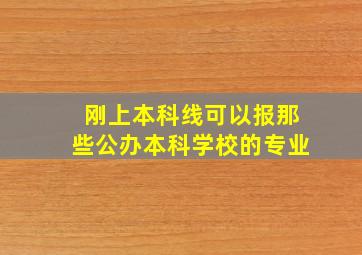 刚上本科线可以报那些公办本科学校的专业