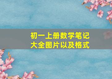 初一上册数学笔记大全图片以及格式