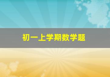 初一上学期数学题