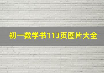 初一数学书113页图片大全