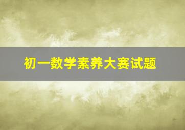 初一数学素养大赛试题