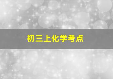 初三上化学考点