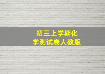 初三上学期化学测试卷人教版