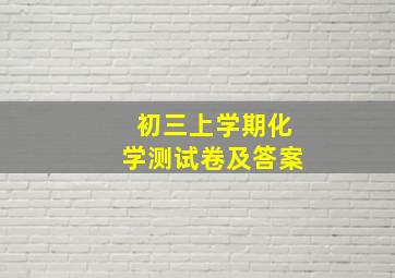 初三上学期化学测试卷及答案