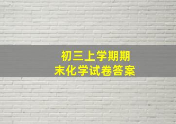 初三上学期期末化学试卷答案