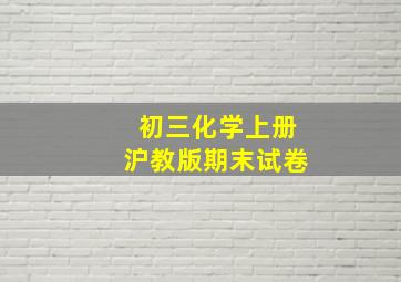 初三化学上册沪教版期末试卷