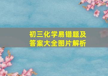 初三化学易错题及答案大全图片解析