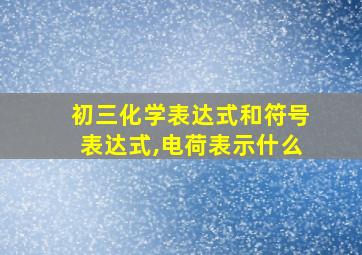 初三化学表达式和符号表达式,电荷表示什么