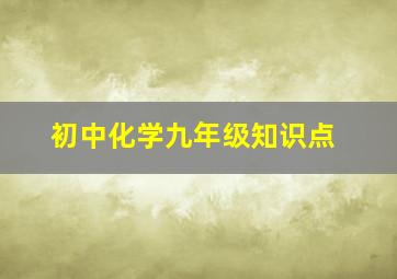 初中化学九年级知识点