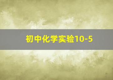 初中化学实验10-5