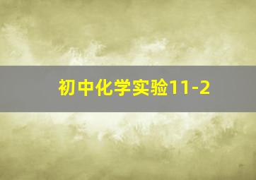 初中化学实验11-2