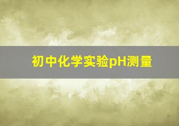 初中化学实验pH测量