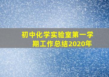 初中化学实验室第一学期工作总结2020年