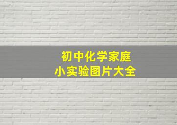 初中化学家庭小实验图片大全