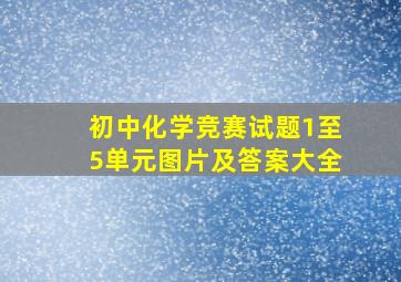 初中化学竞赛试题1至5单元图片及答案大全