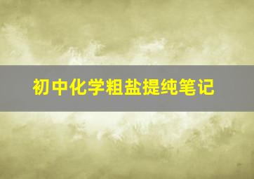 初中化学粗盐提纯笔记