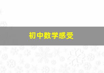 初中数学感受