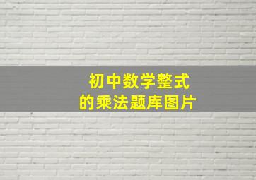 初中数学整式的乘法题库图片