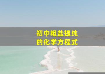 初中粗盐提纯的化学方程式