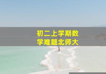 初二上学期数学难题北师大