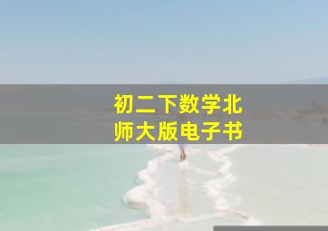 初二下数学北师大版电子书