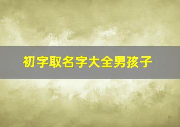 初字取名字大全男孩子