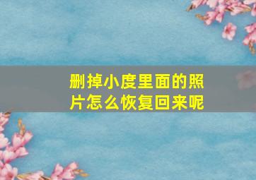 删掉小度里面的照片怎么恢复回来呢